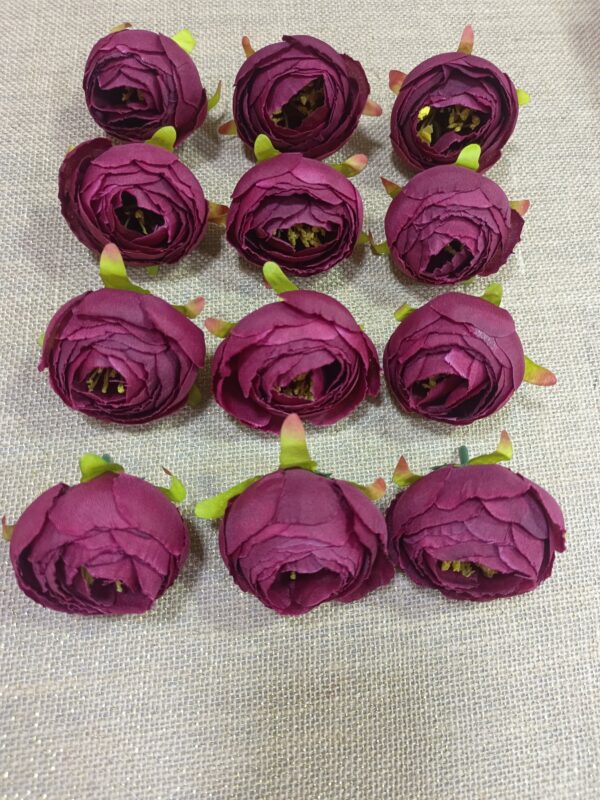 Midiyam piyoni. (pack of 25pc)