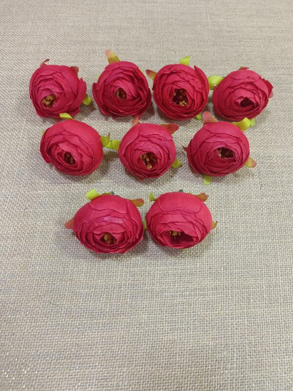 Midiyam piyoni. (pack of 25pc)