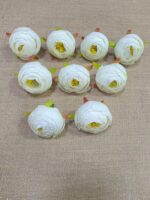 Midiyam piyoni. (pack of 25pc)