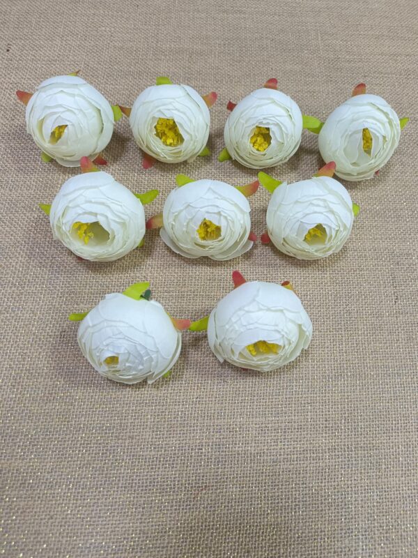 Midiyam piyoni. (pack of 25pc)