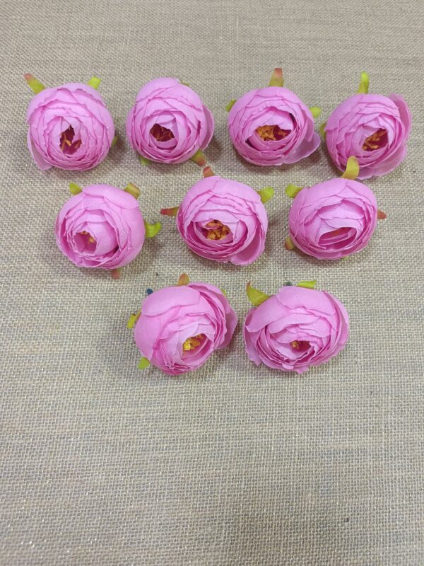 Midiyam piyoni. (pack of 25pc)