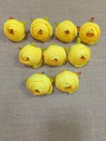 Midiyam piyoni. (pack of 25pc)