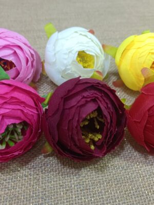 Midiyam piyoni. (pack of 25pc)