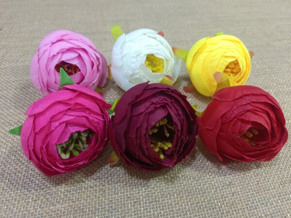 Midiyam piyoni. (pack of 25pc)