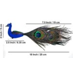 Beautiful Artificial Peacock
pack of. 2pc
