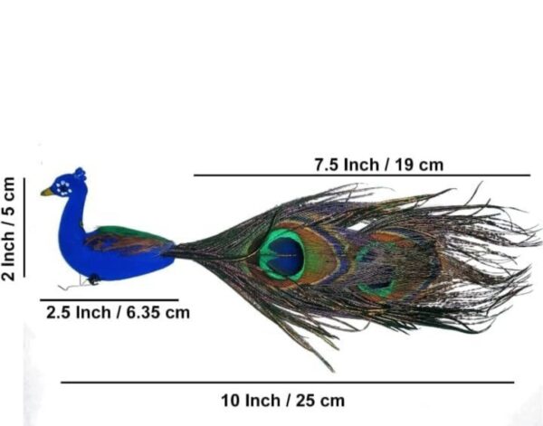 Beautiful Artificial Peacock
pack of. 2pc