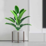 Artificial Banana Plants with Pot Plants Leaves