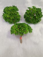 Artificial Fabric Flowers with Pearl Tar
Pack of 50 pcs