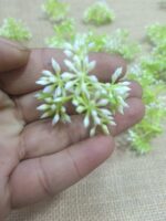 Artificial Small Green Plants. pillar
pack of. 100gm
pack of pc. 50pc approx