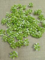 Artificial Small Green Plants. pillar
pack of. 100gm
pack of pc. 50pc approx