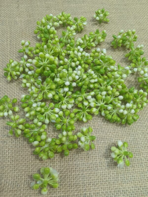 Artificial Small Green Plants. pillar
pack of. 100gm
pack of pc. 50pc approx