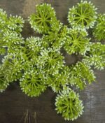 artificial jipso
pack of 48pc