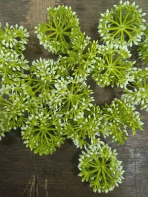 artificial jipso
pack of 48pc