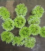 artificial jipso
pack of 48pc