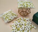 Artificial Jasmine Flower Buds
pack of. 100pc