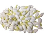 Artificial Jasmine Flower Buds
pack of. 100pc
