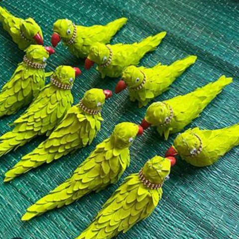 parrot W Cutting
pack of 10pc
