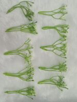 Artificial Small Green Plants. pillar
pack of. 100gm
pack of pc. 50pc approx