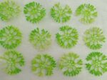 Artificial Small Green Plants. pillar
pack of. 100gm
pack of pc. 50pc approx