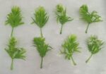 Artificial Small Green Plants. pillar
pack of. 100gm
pack of pc. 50pc approx